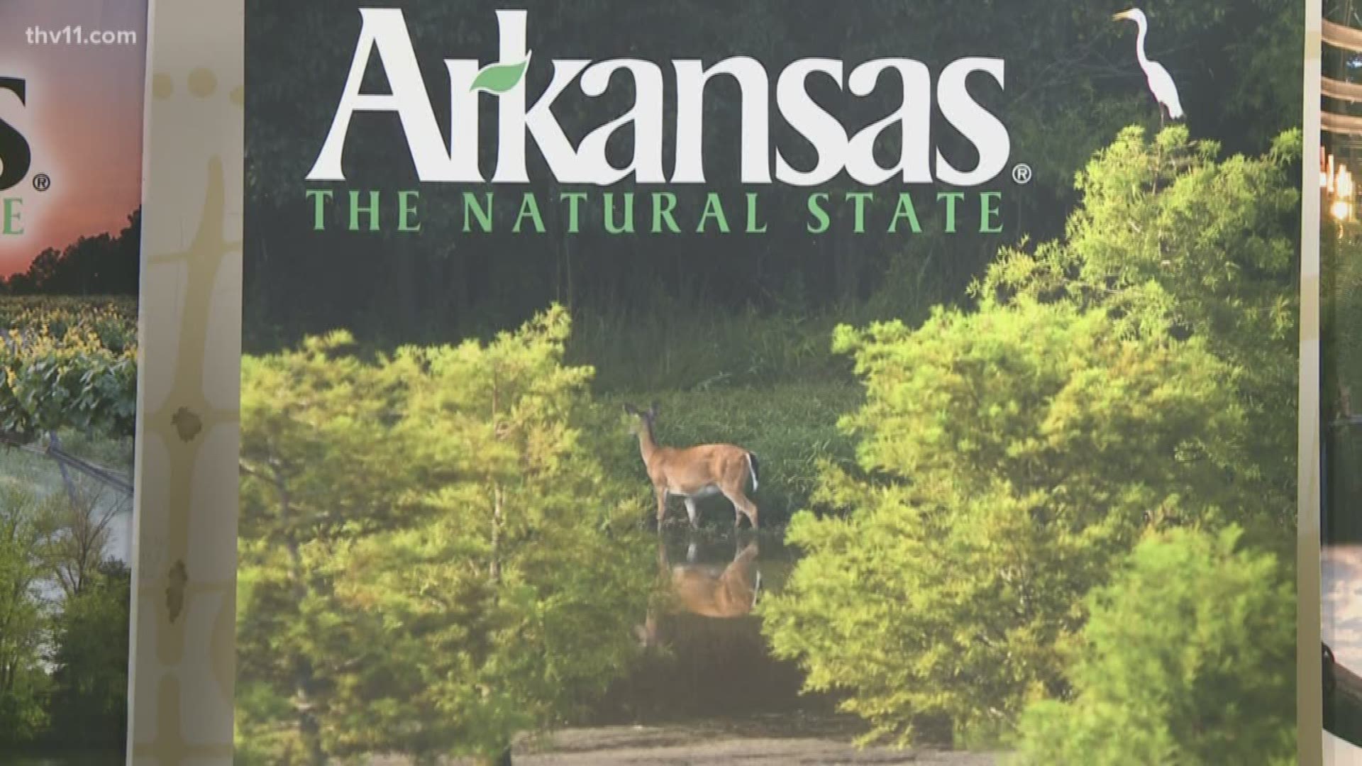 Tourism brings millions of dollars in revenue to Arkansas year in and year out.