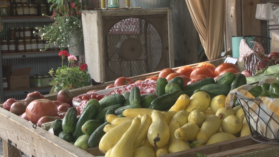 West Little Rock Farmers Market opening this April | What to know