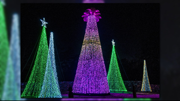 Brighten Up Your Holidays With A Glorious Light Display At Garvan
