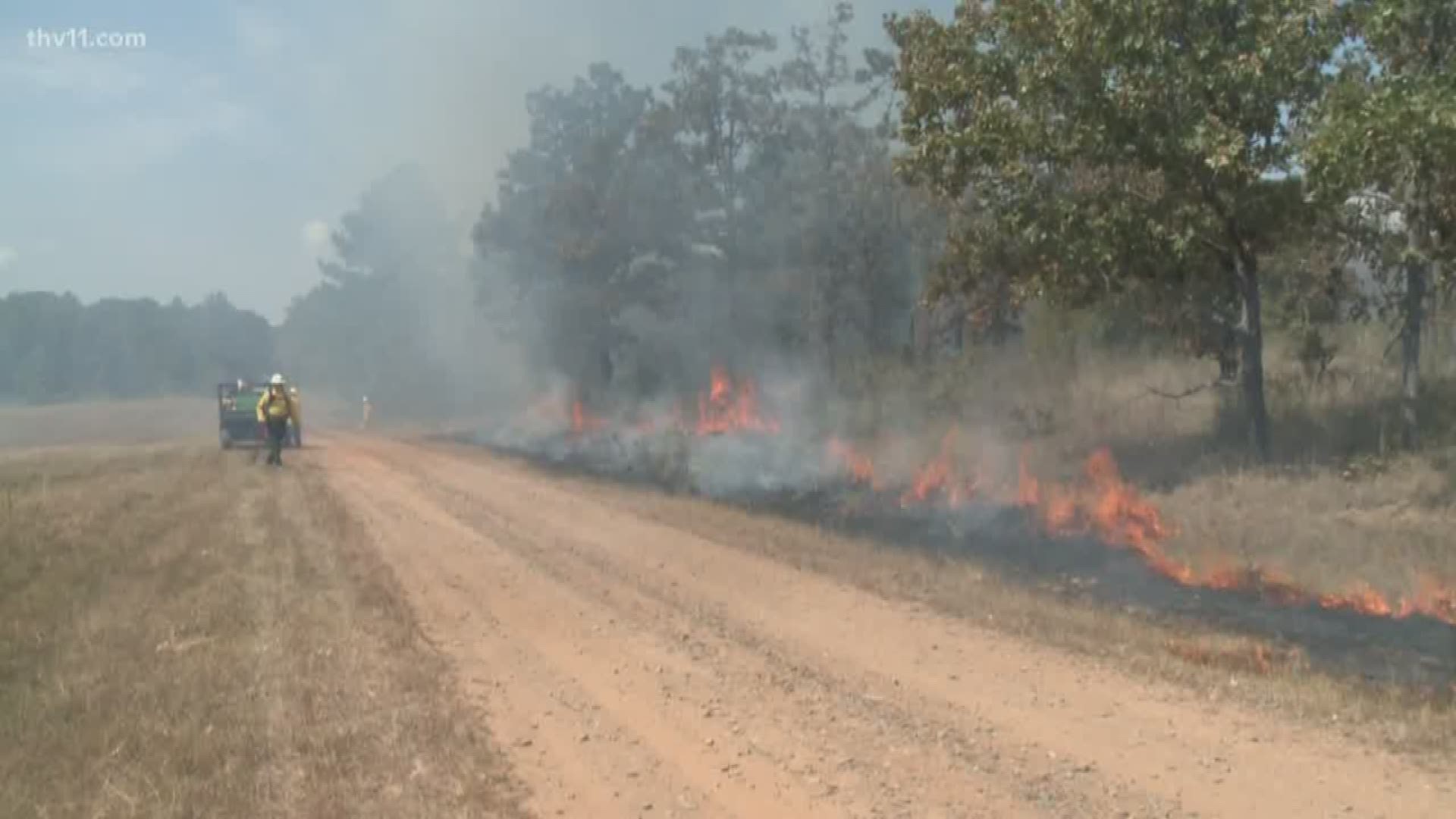 Beginning tomorrow, Hot Springs National Park will begin controlled burns to prevent uncontrolled wildfires.