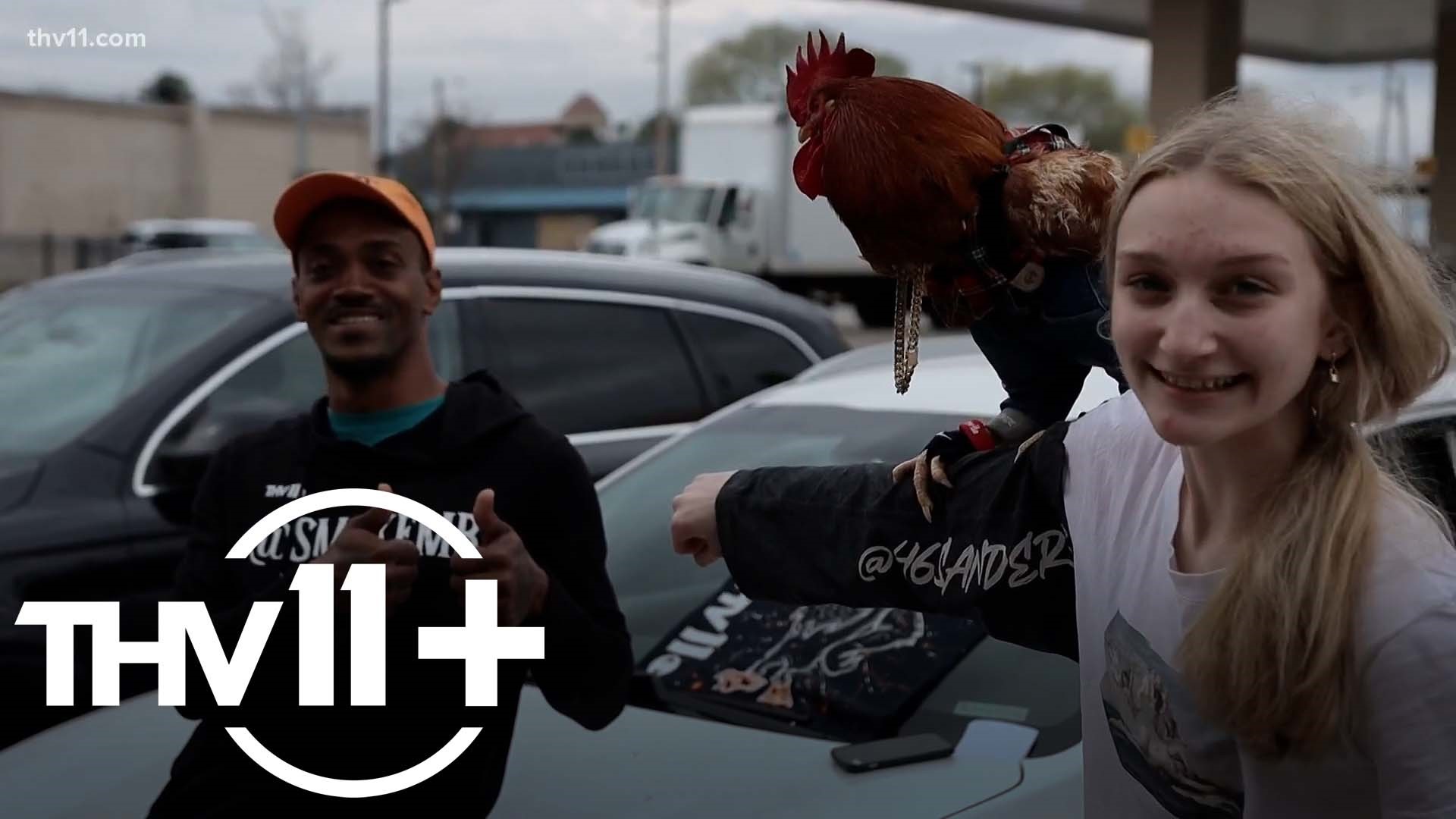 From a musician-rooster duo to a Uber-like lawn care service — we take a look at some of the unique businesses around Arkansas.