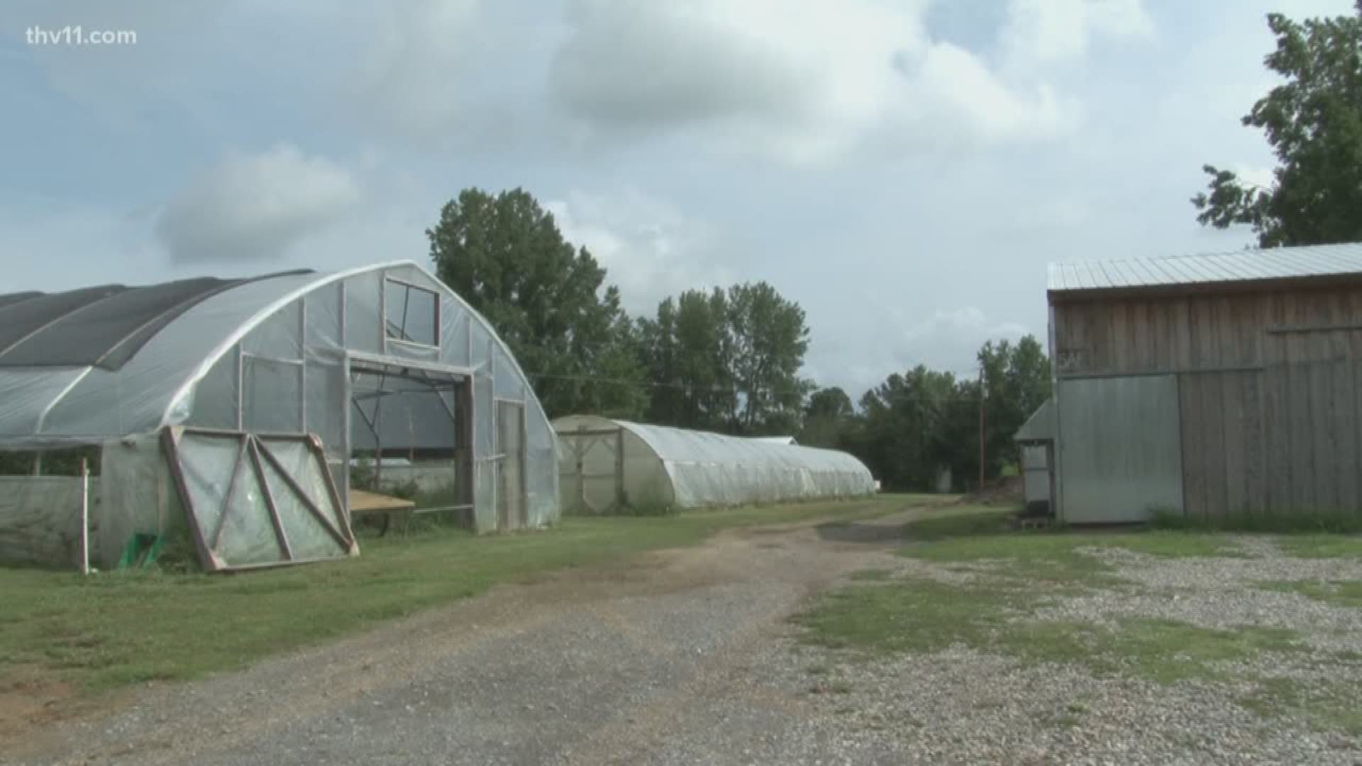 We may be feeling the peak of the summer, but fall is just around the corner and farmers across Arkansas are harvesting for the months to come.