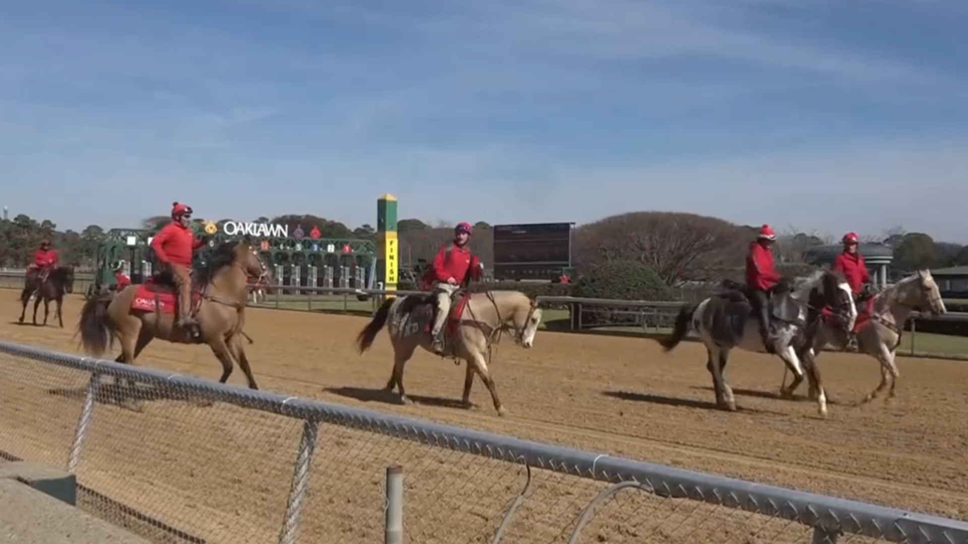 Yearly tag renewals & ticket costs in Arkansas | VERIFY | thv11.com