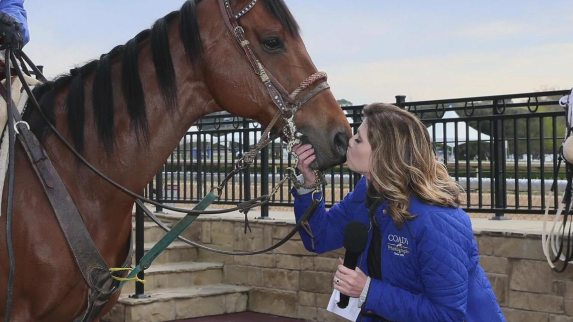 Arkansas paddock analyst thriving at Oaklawn - Vimarsana News