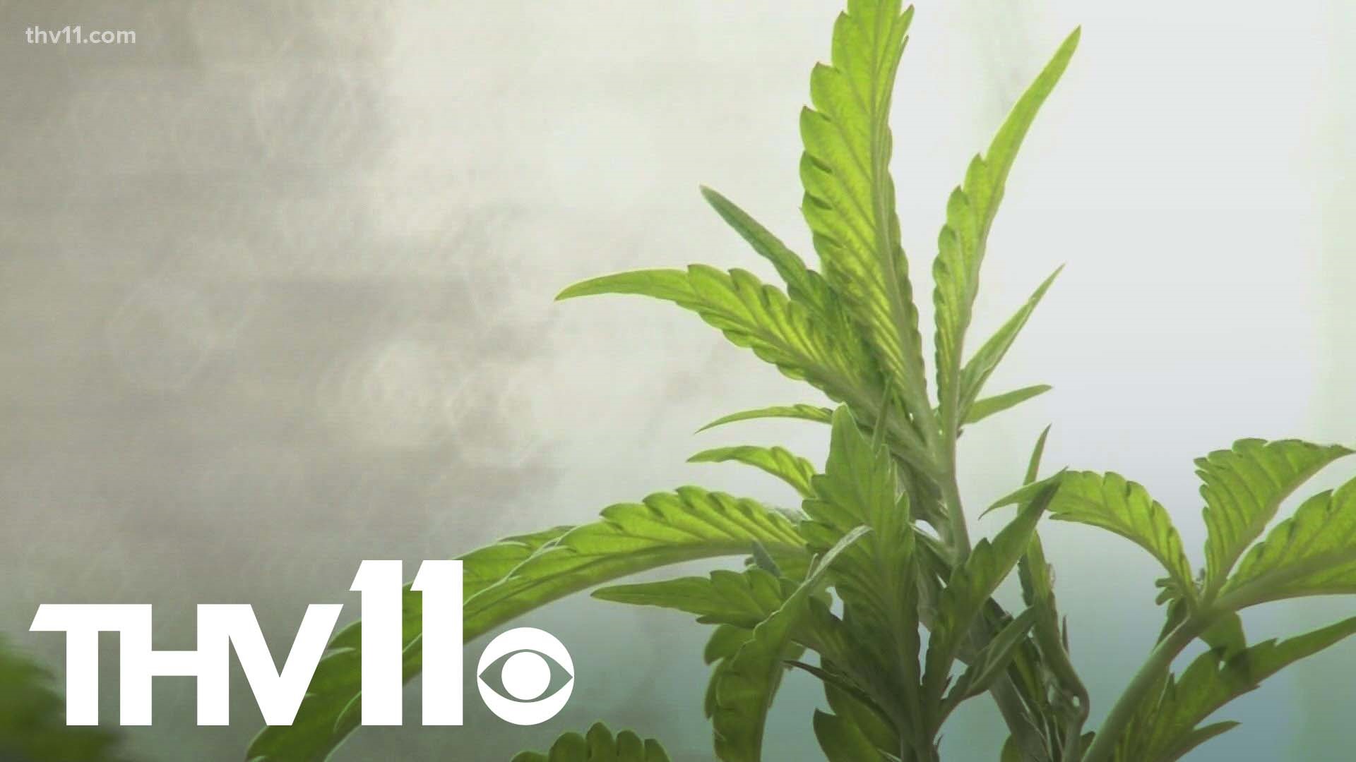 Recreational marijuana may still be illegal in Arkansas, but voters may see the issue on the 2022 general election ballot in November.