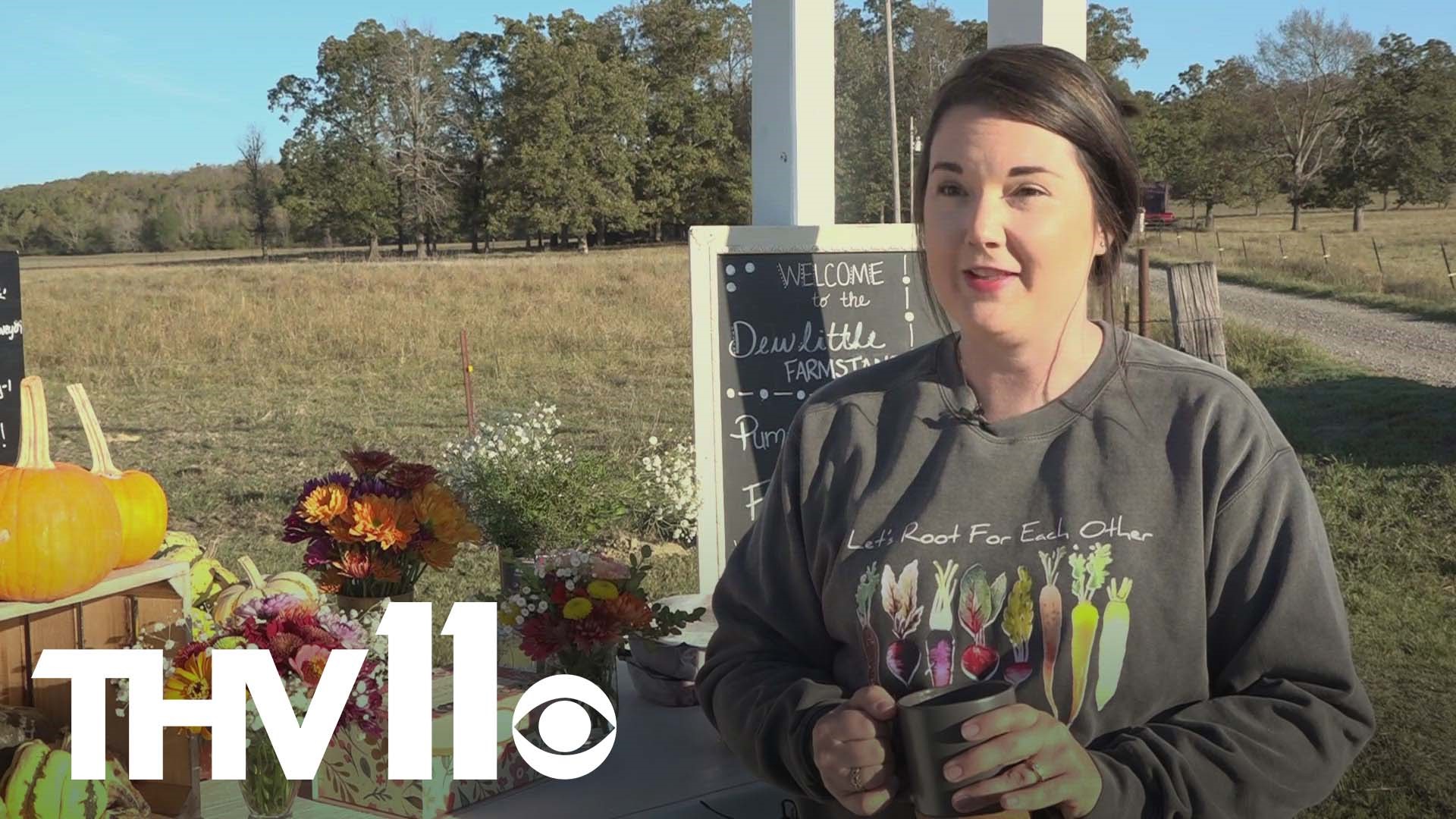 Dewlittle Farmstand in Conway offers handpicked floral arrangements in cute mason jars, bottles, and more— and most uniquely, this stand is run on an honor system.