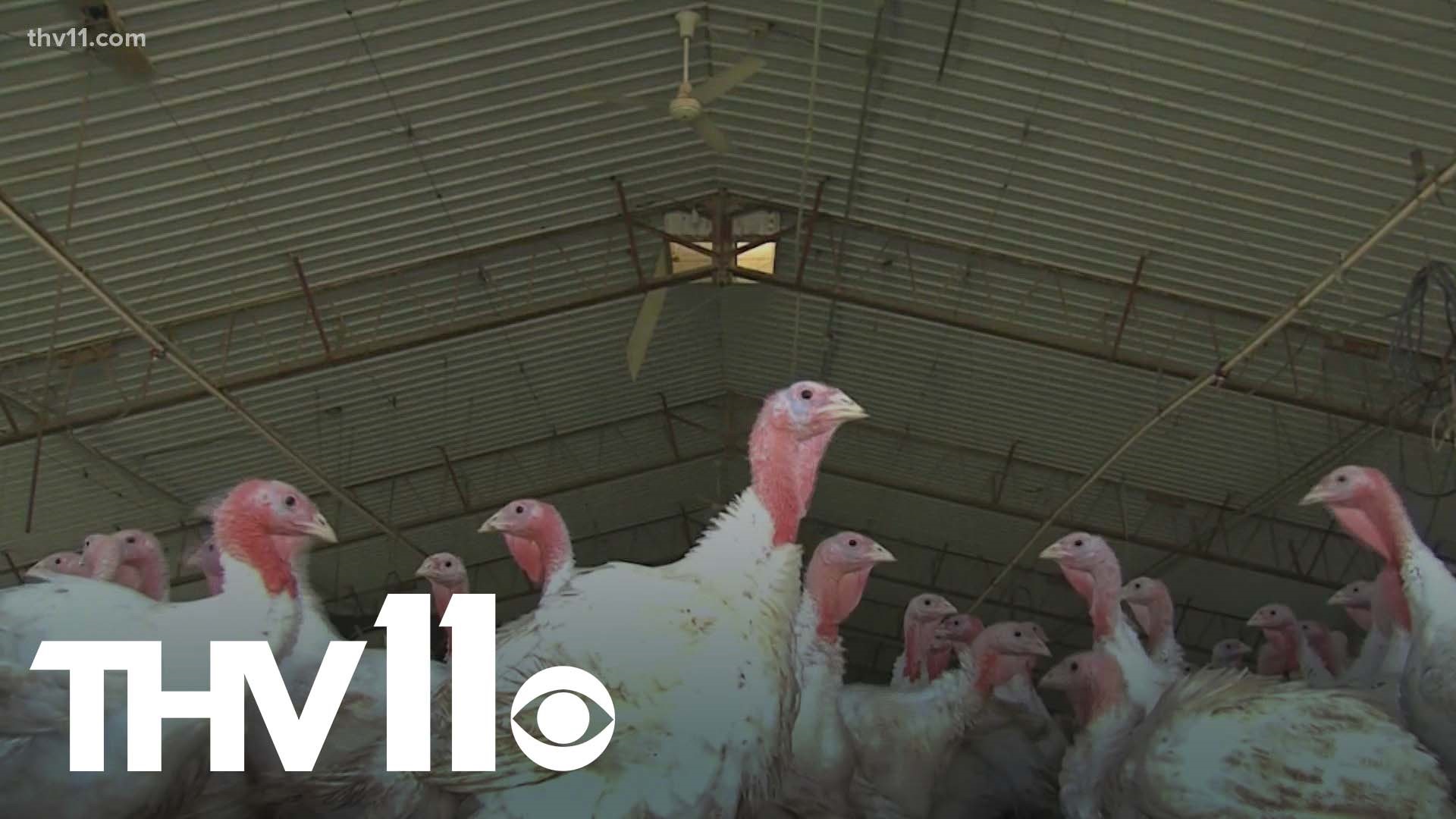 Arkansas officials are keeping a close eye on the bird flu as the virus has impacted several states around us.