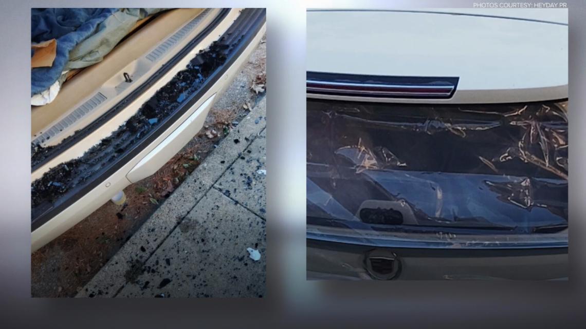 Hot Springs man allegedly shoots multiple cars with BB gun