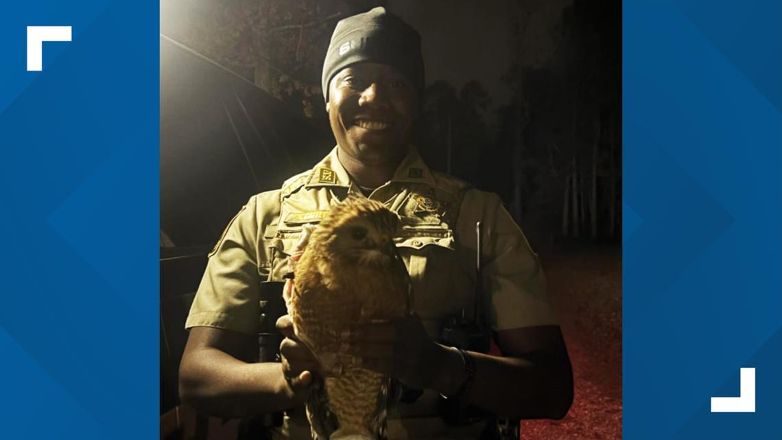 Arkansas deputy's act of kindness takes flight after rescuing injured hawk