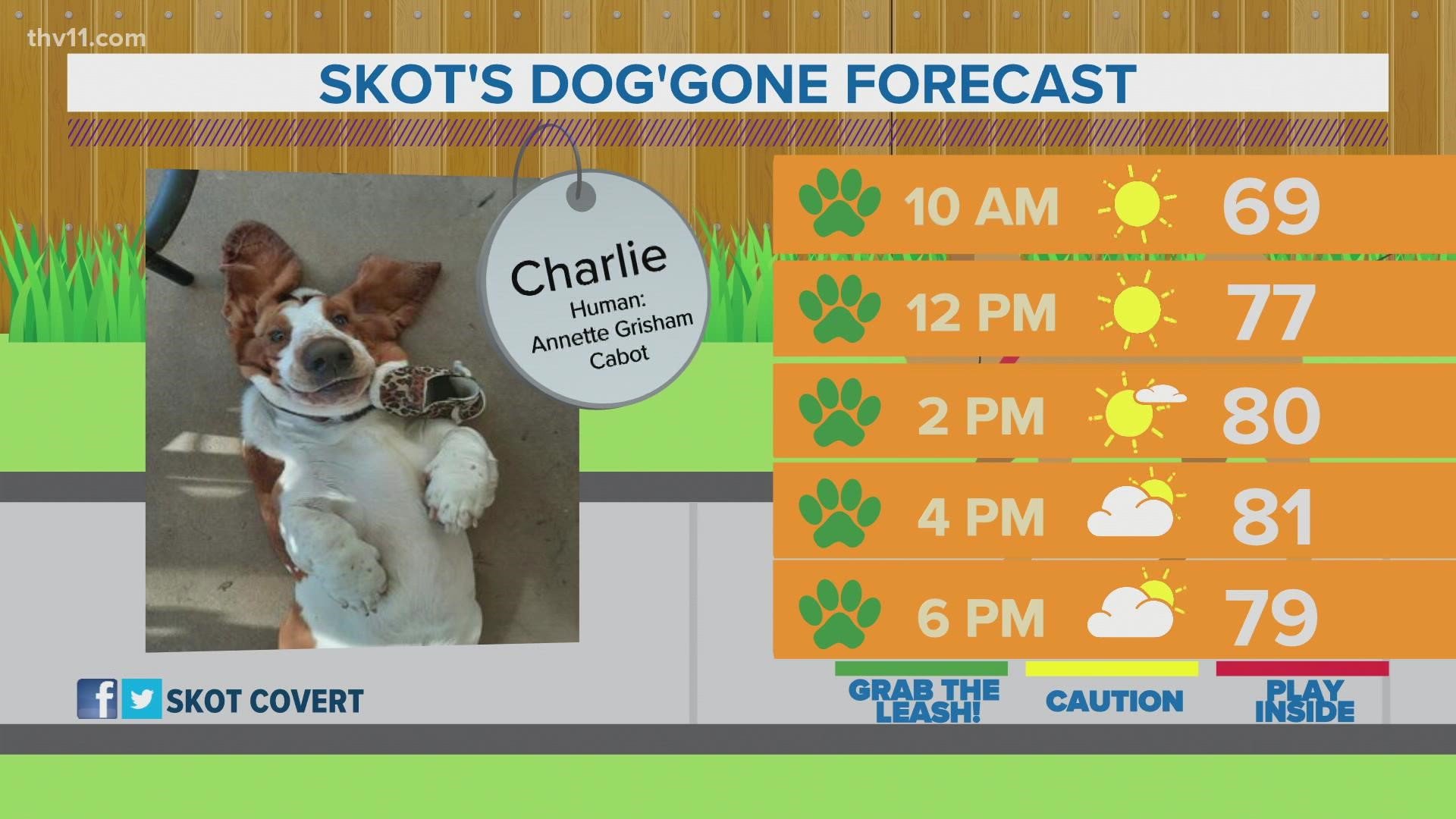 Charlie | Skot's dog'gone forecast