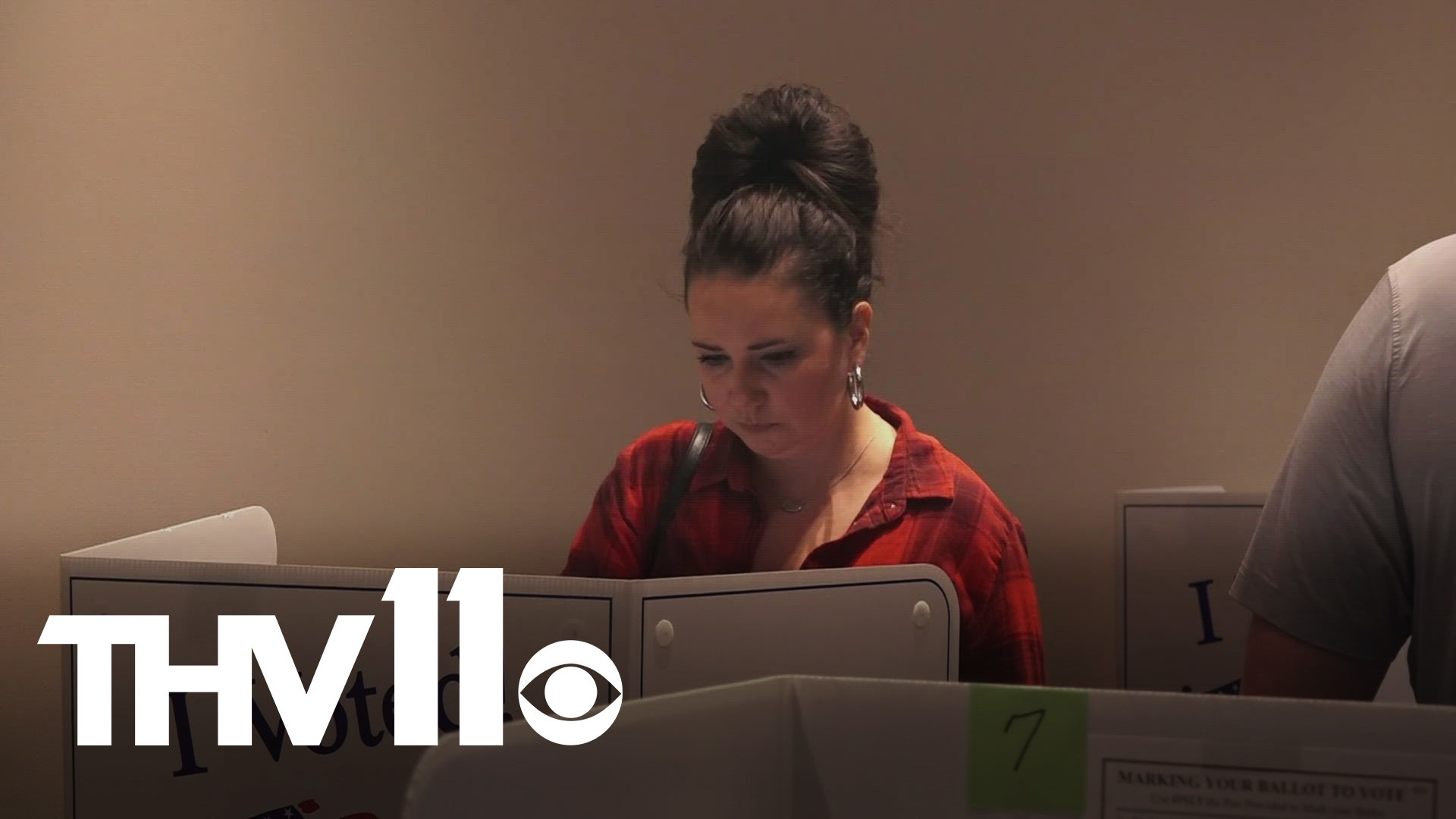 Early voter turnout in Arkansas tops last midterms | thv11.com