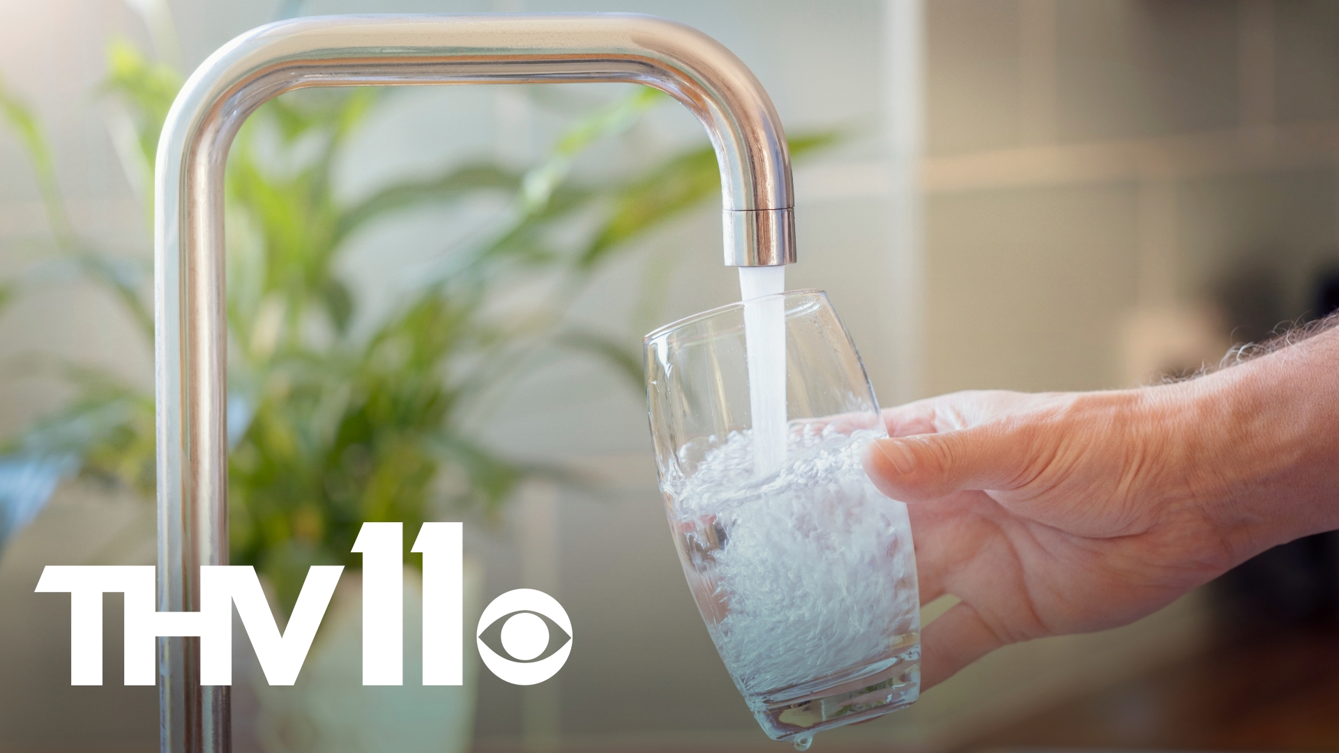 A proposed bill for the next legislative session looks to repeal the state's fluoridation program and removing laws regarding the mineral being in water systems.