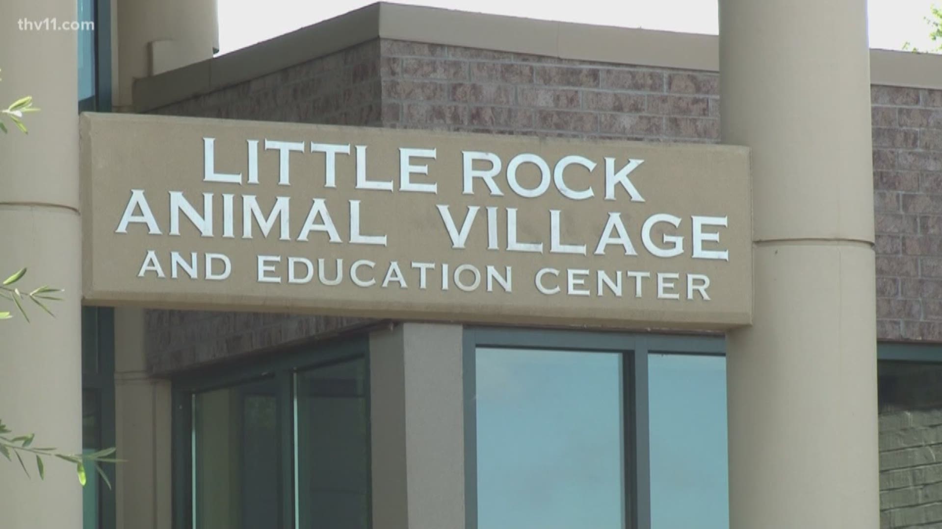 The Little Rock Animal Village is asking for your help as it deals with a spike in the number of homeless animals.