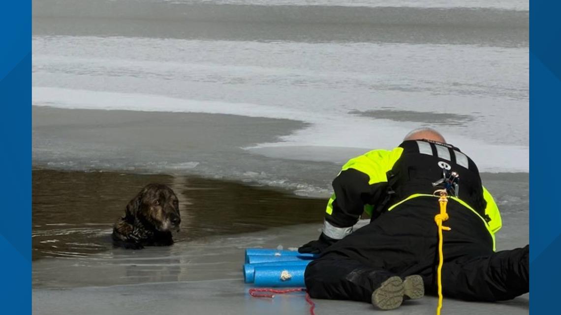 Arkansas hero saves the day after dog falls through ice into below-freezing water