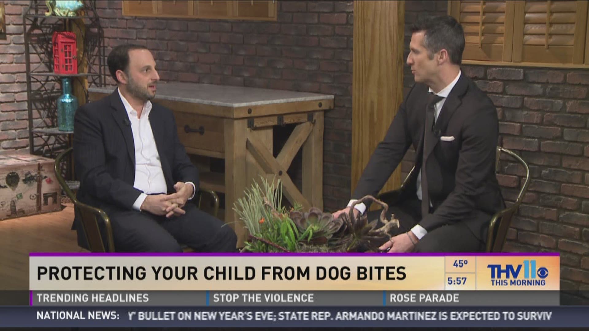 If you got a dog this Christmas, you should be aware that it takes time for some of these animals to get accustomed to your family, especially little kids. Dr. Michael Golinko, Medical Director of Arkansas Children's Hospital Craniofacial Program joined u