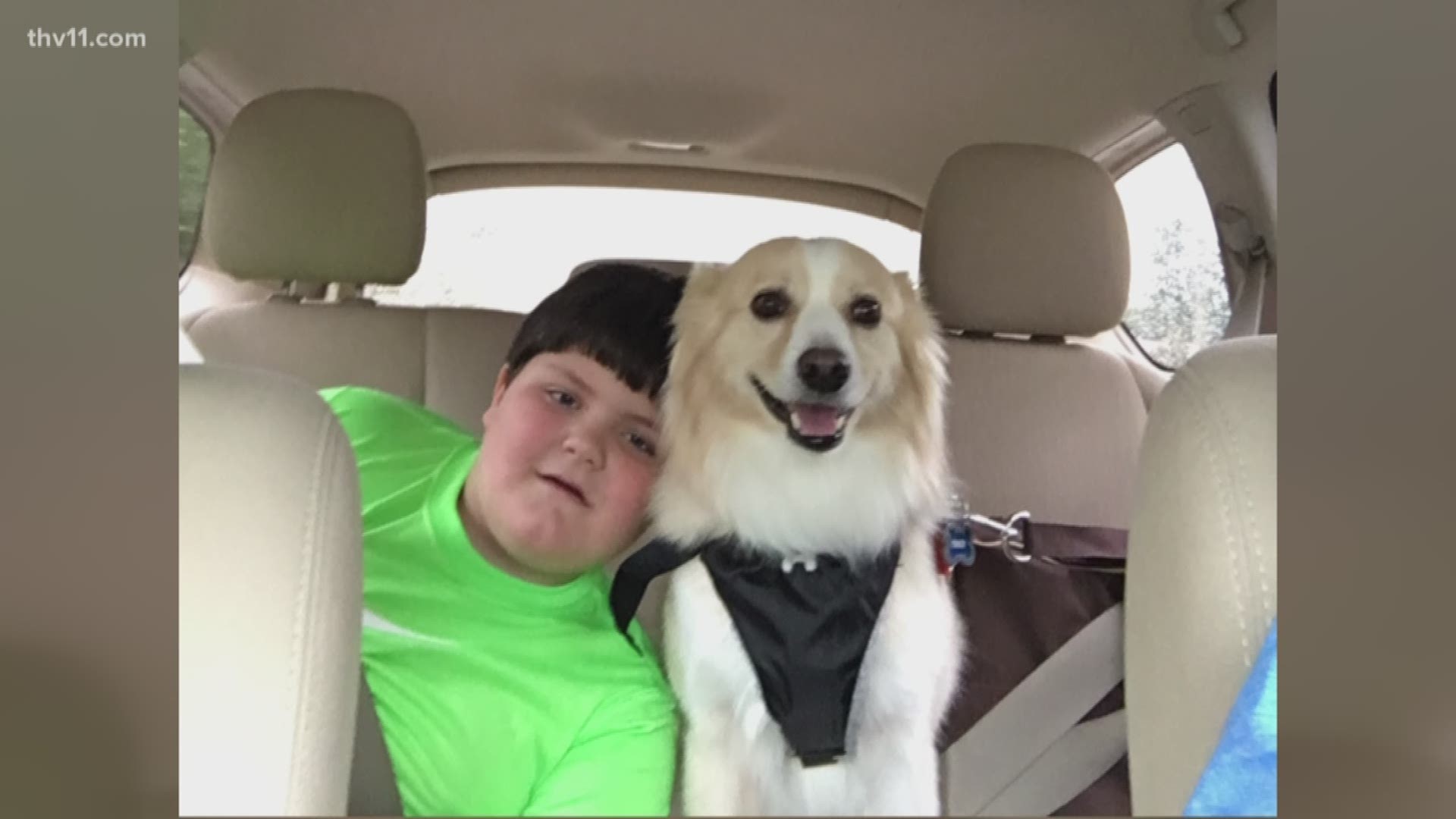Tyler passed away in January. He was the first pediatric flu death in nearly four years in Arkansas. His parents have opened a nonprofit in his honor to help provide service dogs and more.