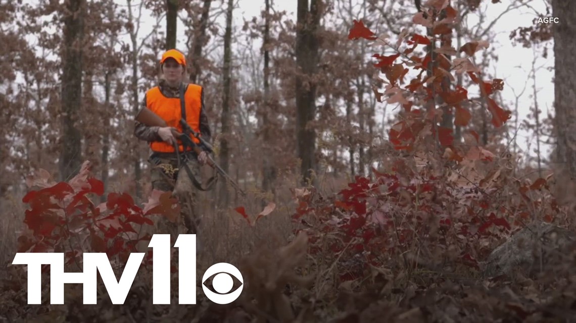 Modern gun deer season starting in Arkansas | thv11.com