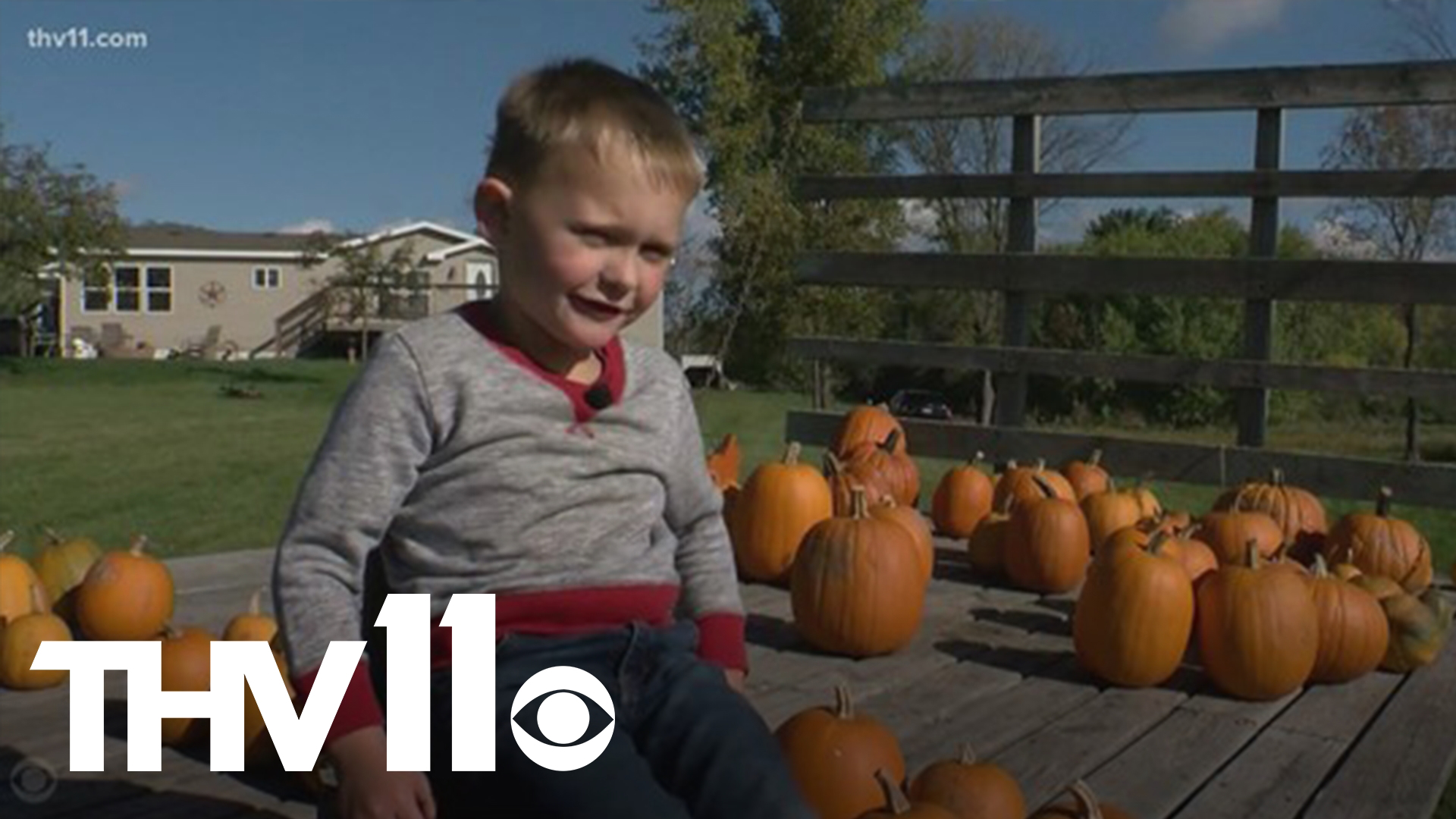 There's a 5-year-old getting into the Halloween spirit this morning. His story has three things: pumpkins, the honor system, and a generous heart.