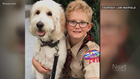 Cub scout 'heartbroken,' kicked out of his den for asking CO state senator tough questions