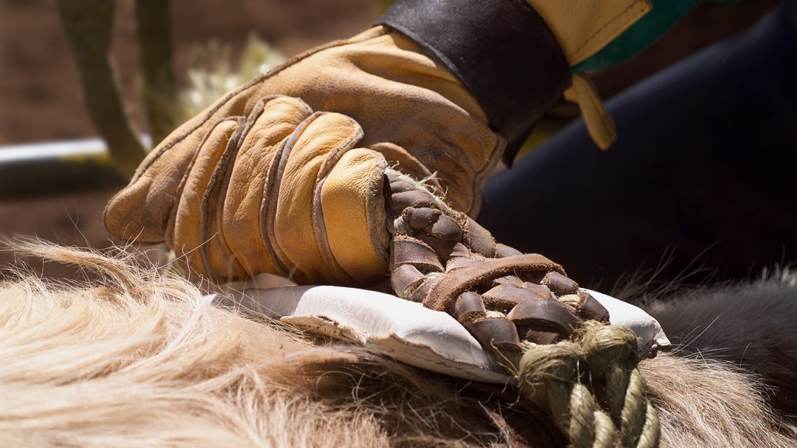 Rodeo turns chaotic as horses stampede, crowd throws beer cans at first responders, police say