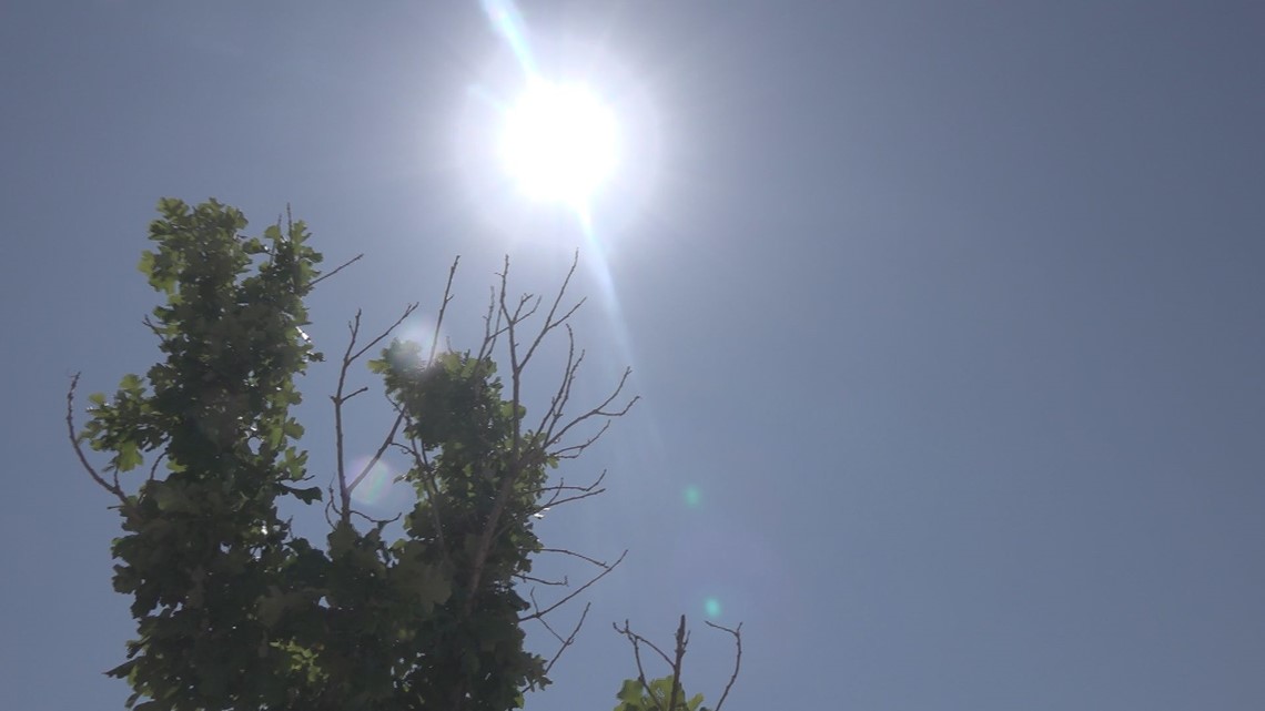 Make sure your dog's paws aren't getting burned on a hot day - Vimarsana News