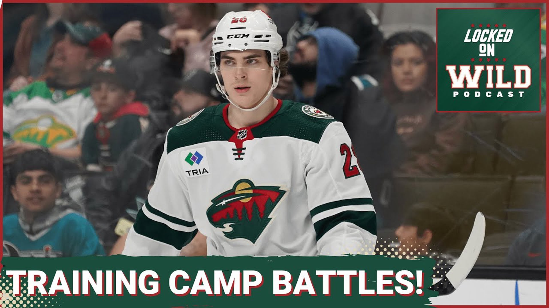 Which Spots Are Up For Grabs in Wild Training Camp This Year?