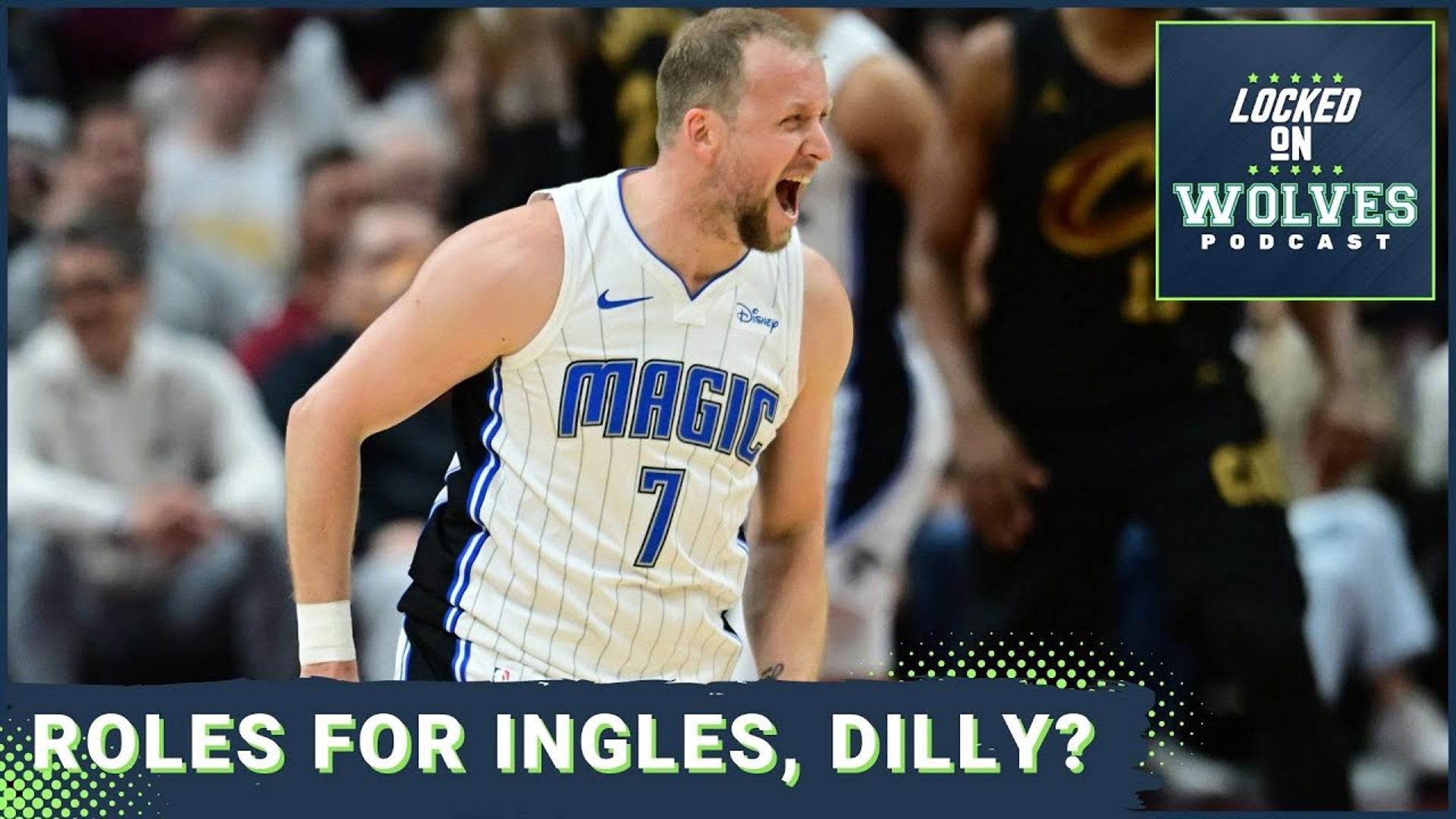 What roles will Joe Ingles, Rob Dillingham, and Terrence Shannon Jr. have with the Timberwolves?