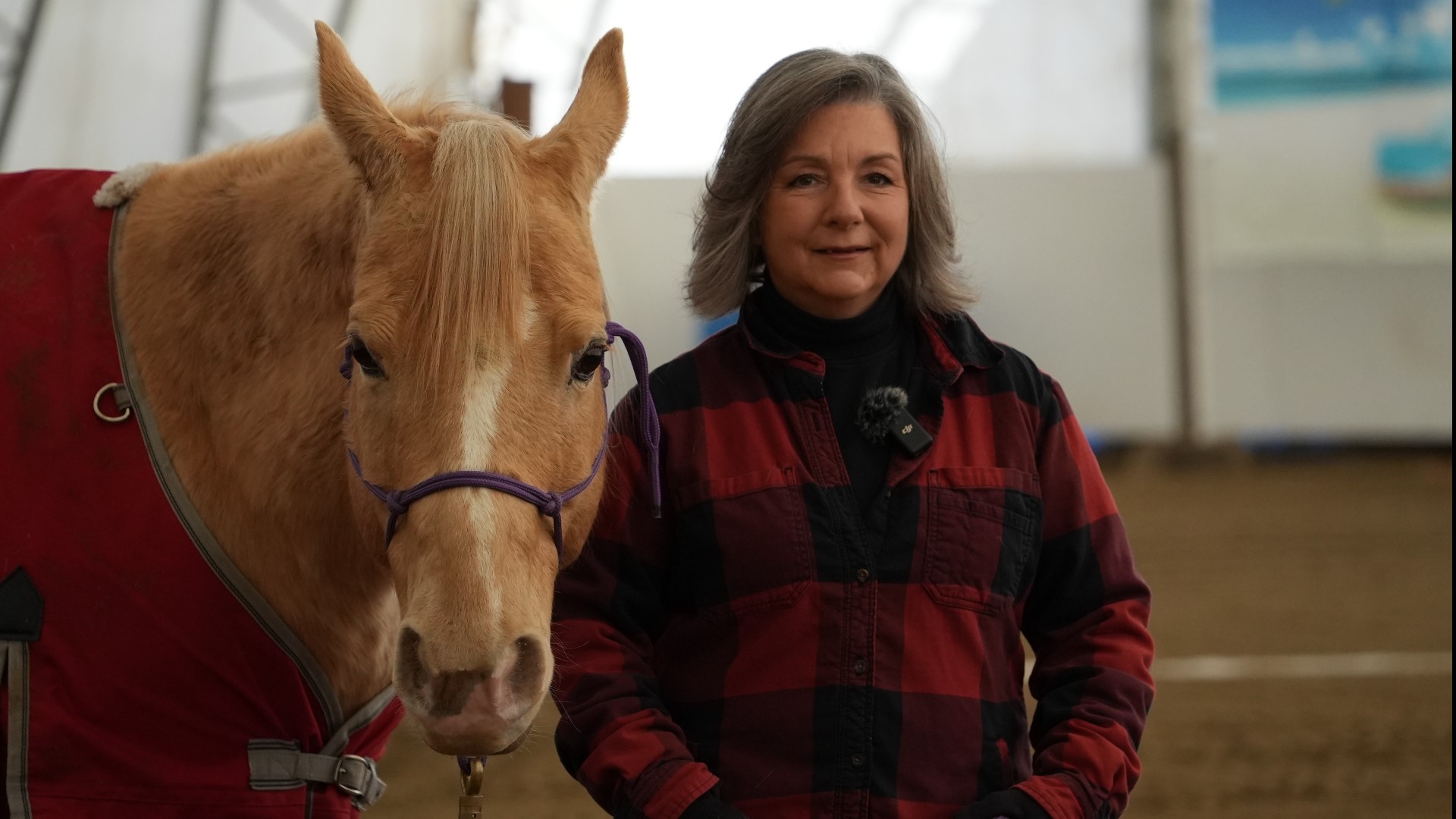 The 20-year-old horse was surrendered in 2021 and now lives with an adopted owner while working with the Travis Mills Foundation.