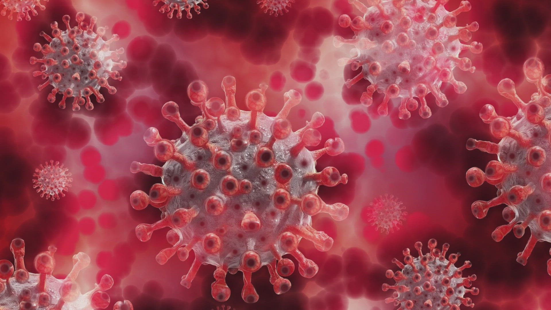 for the portland thorns and the north carolina courage knelt d