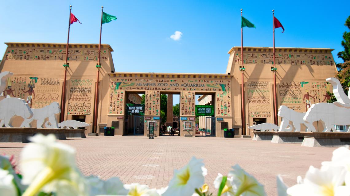 Memphis Zoo evacuated after bomb threat