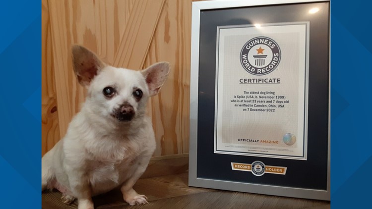 Guinness World Records: Oldest living dog is in Ohio