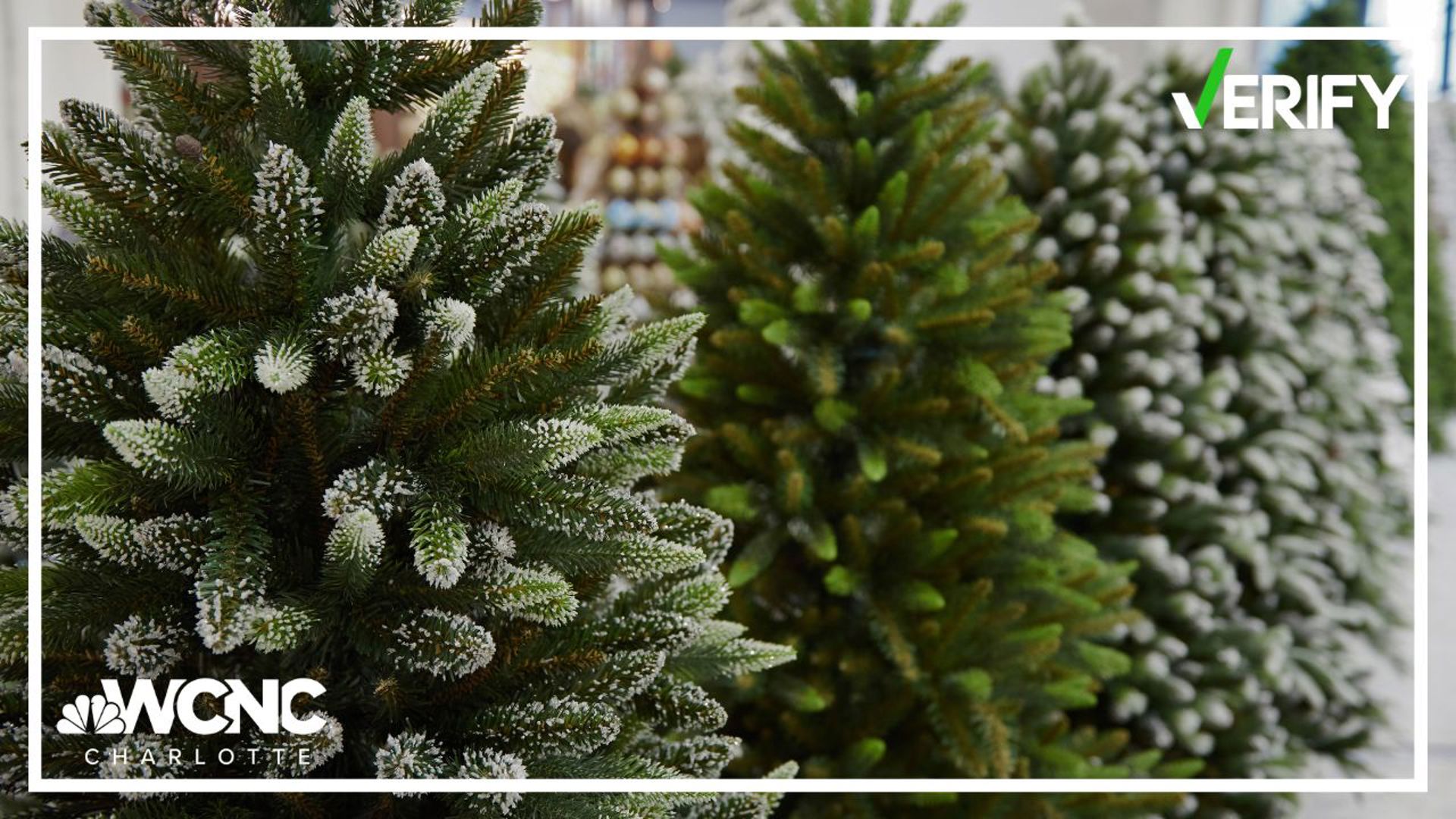 As families decorate their homes this holiday season, one question stands out. Do you get a real or fake Christmas tree?