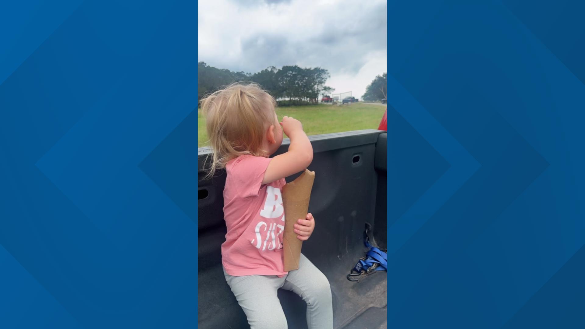 Video goes viral of giraffe lifting Texas toddler during safari | thv11.com