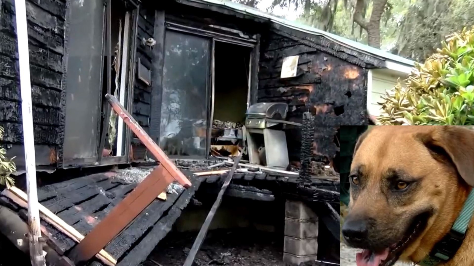 Brian Rand is safe with his dog-Curly as a fire ravaged his porch and attic. Curly woke him up in time to get out of the house before the ceiling collaps