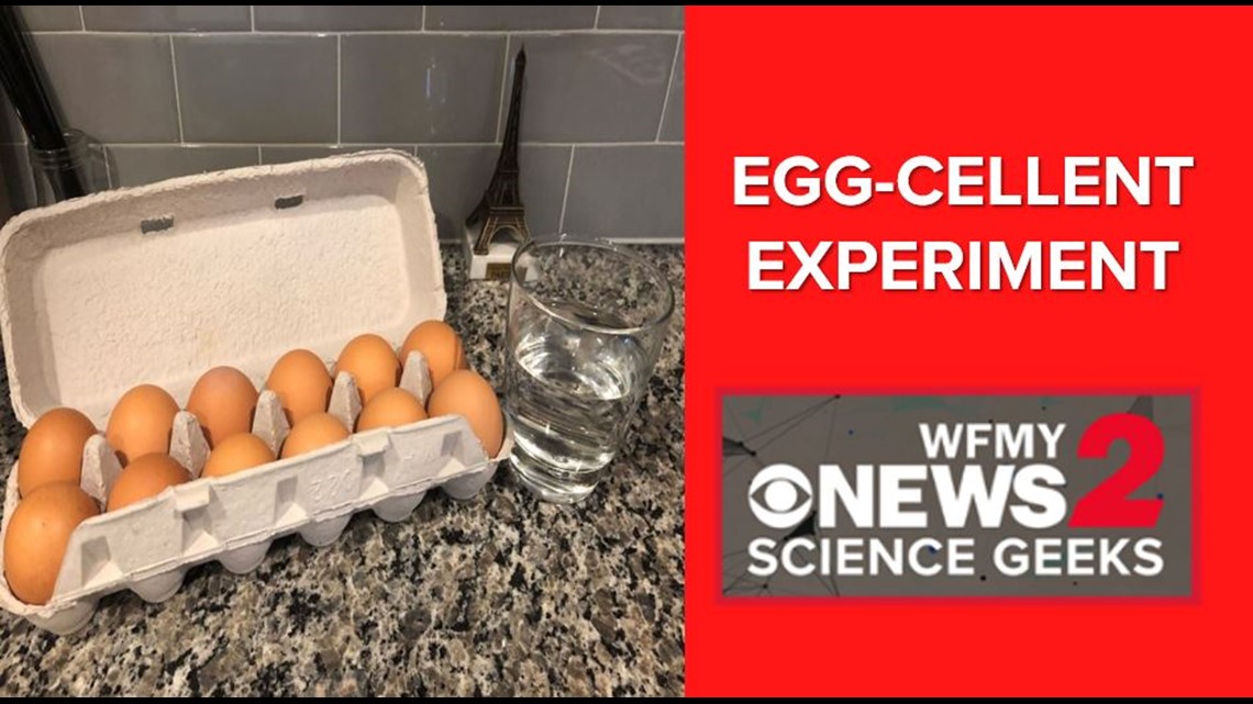 egg density experiment