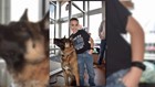 9-year-old Strongsville boy is on mission to donate bulletproof vests to police K-9s across Ohio