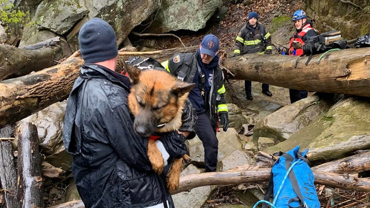 Dog reunited with family after rescue from Ohio river