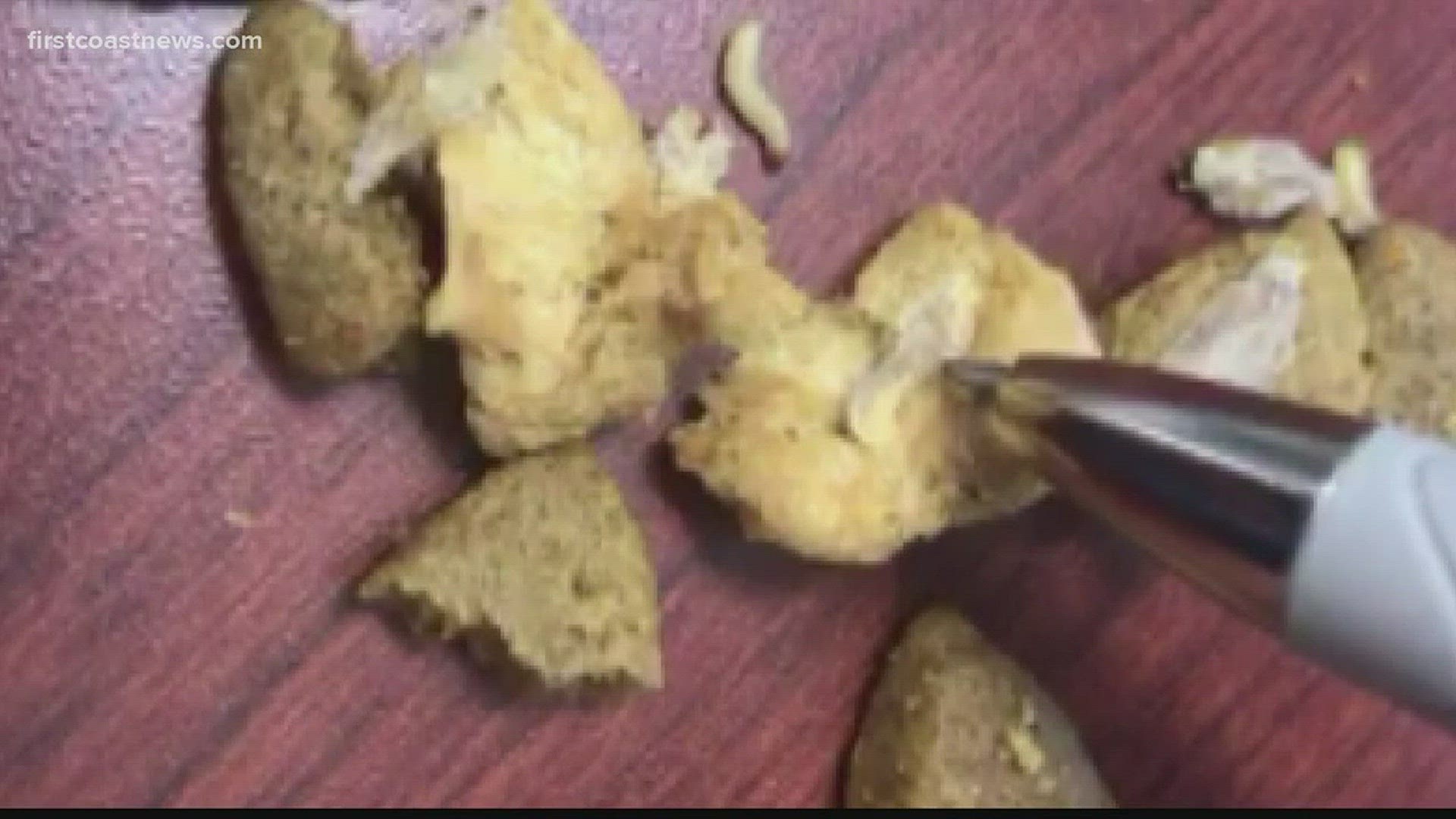A Jacksonville man said he found what appears to be maggots inside his dog's food. He said he found moths inside his dog's food container.
