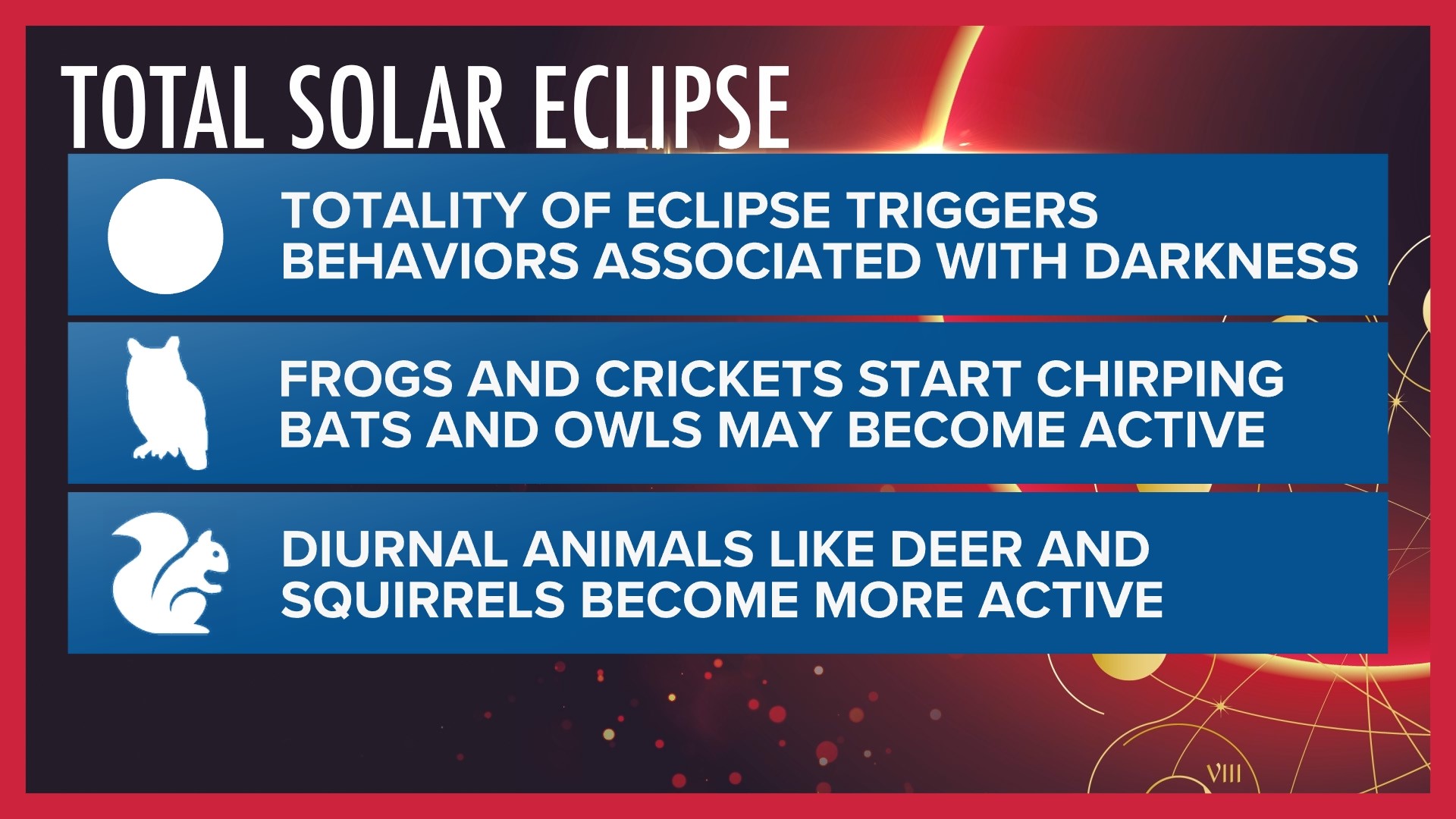 How to prepare pets for the total solar eclipse | thv11.com