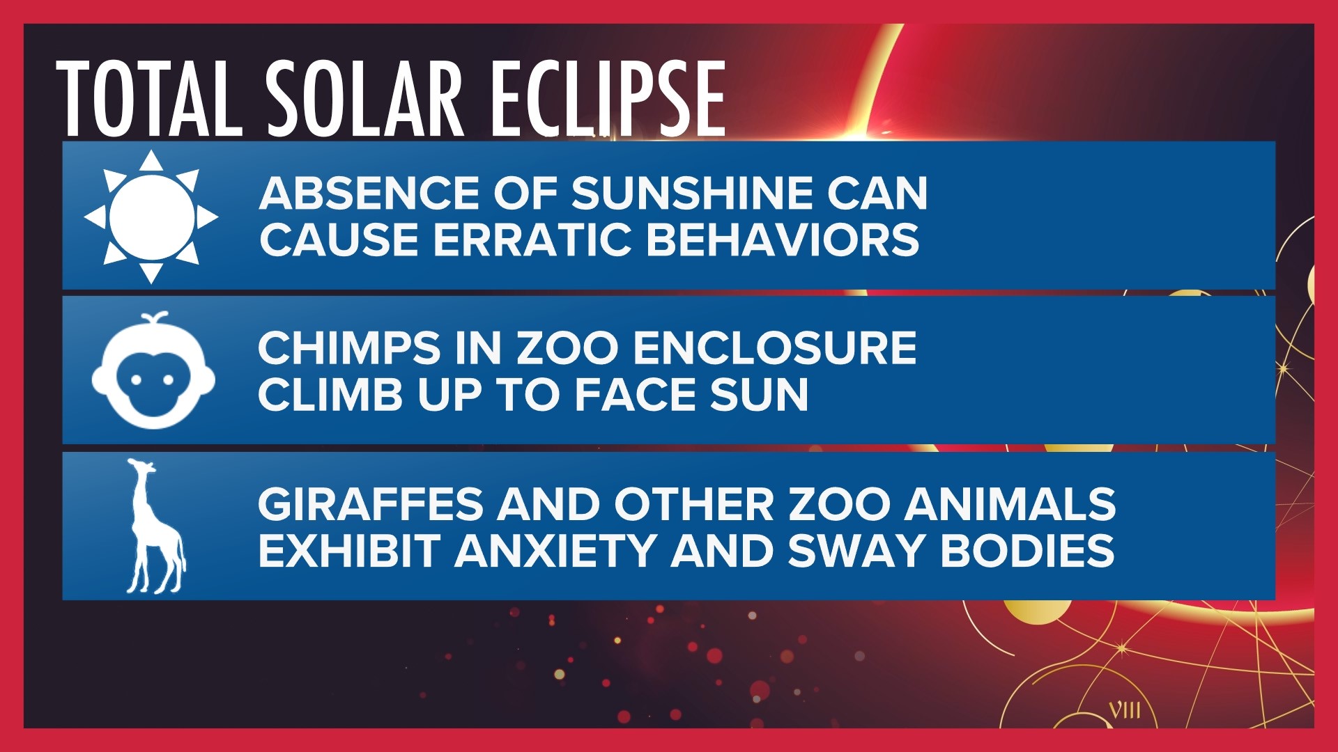 How to prepare pets for the total solar eclipse | thv11.com
