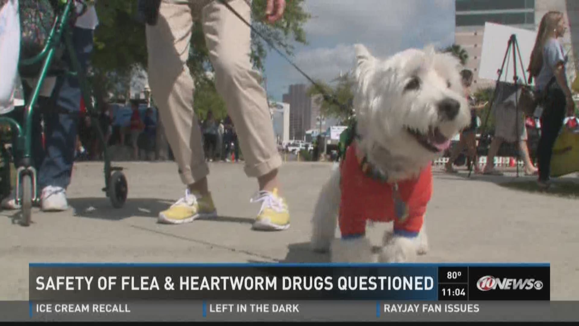 is heartworm medication dangerous for dogs