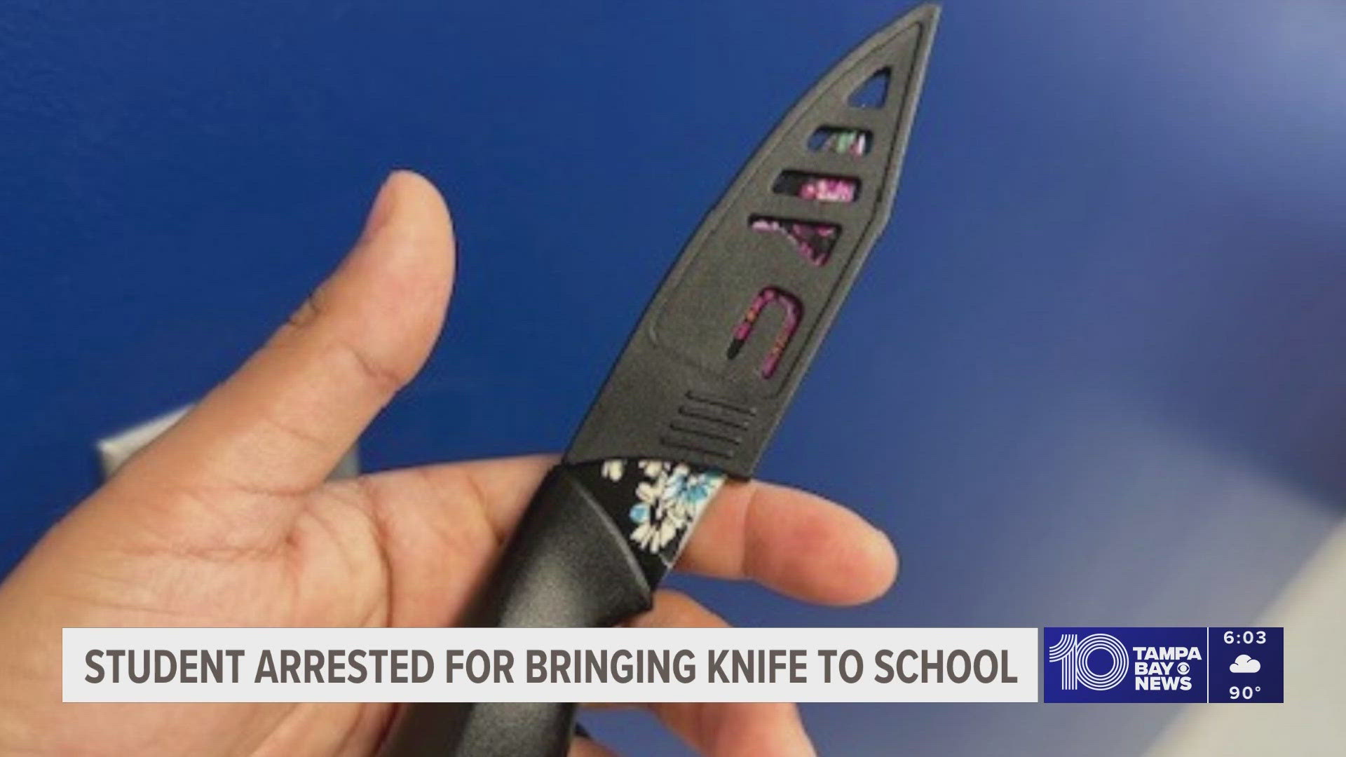 Teen arrested after bringing knife to Hillsborough County school ...
