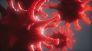 Arkansas reports 1,229 new COVID-19 cases, 29 deaths as surge continues