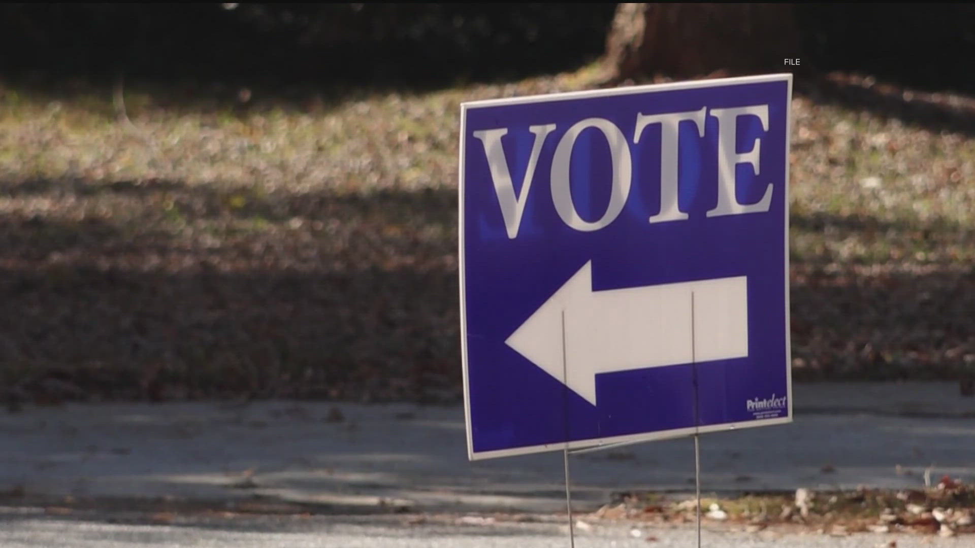 What role will minority voters play in the 2024 election | thv11.com