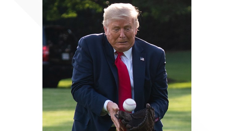 Footage shows Donald Trump accidentally hit child on the head with baseball at World Series