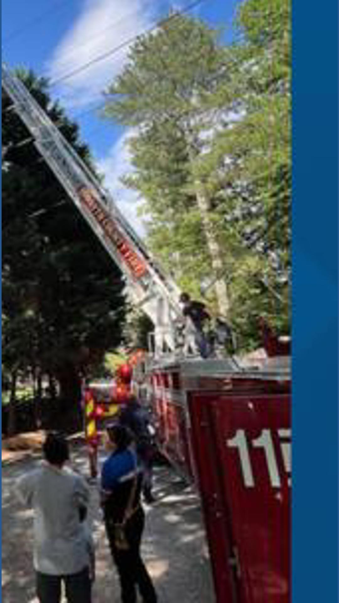 Firefighters rescue 6-year-old from 60-foot tree | thv11.com